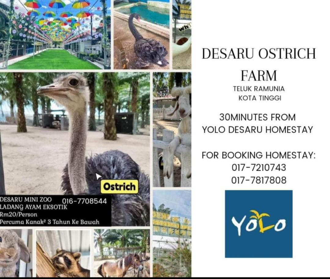 Desaru Homestay-Eva Villa Pool Homestay By Yolo Resort Bandar Penawar Zewnętrze zdjęcie